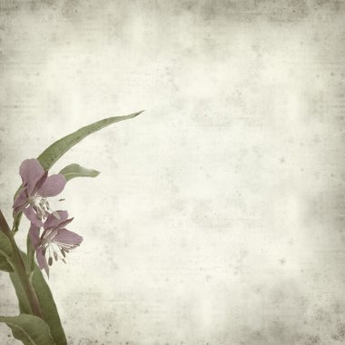 desenli eski kağıt arkaplan  