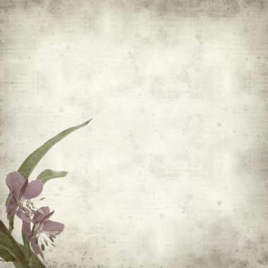 desenli eski kağıt arkaplan  