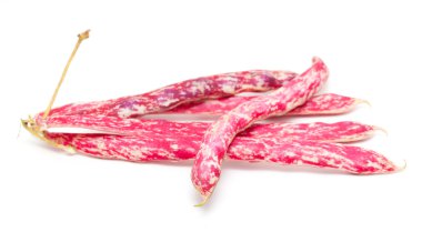 beyaz izole kırmızı fasulye bakla