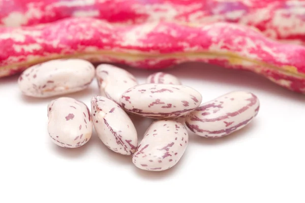 Red bean pods isolated on white — Stock Photo, Image