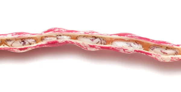 Rote Bohnenschoten isoliert auf weißen — Stockfoto