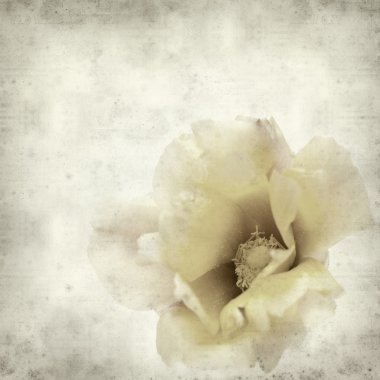 desenli eski kağıt arkaplan