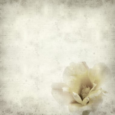 desenli eski kağıt arkaplan