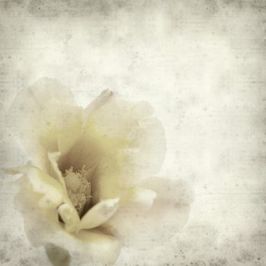 desenli eski kağıt arkaplan