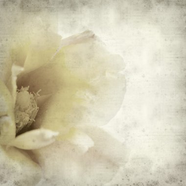 desenli eski kağıt arkaplan