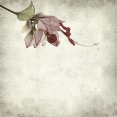 desenli eski kağıt arkaplan