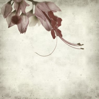 desenli eski kağıt arkaplan  