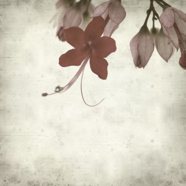 desenli eski kağıt arkaplan  