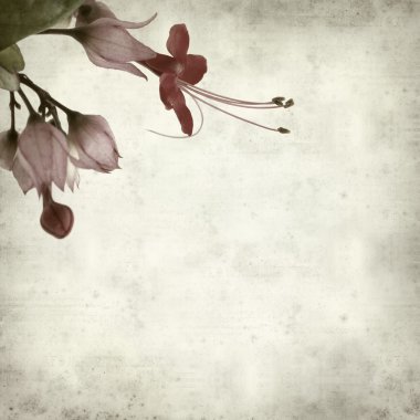 desenli eski kağıt arkaplan  