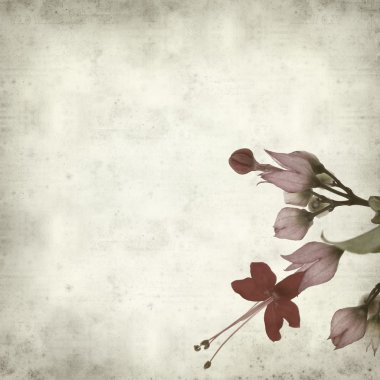 desenli eski kağıt arkaplan  