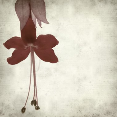 desenli eski kağıt arkaplan  