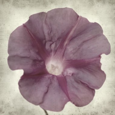 desenli eski kağıt arkaplan