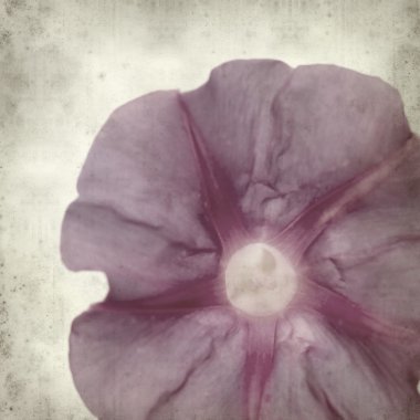 desenli eski kağıt arkaplan  