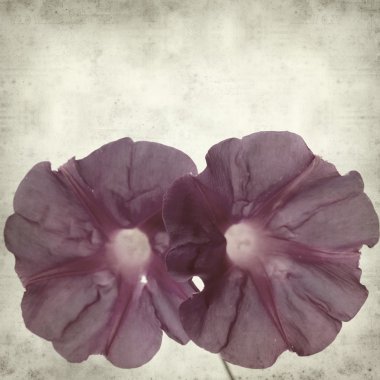 desenli eski kağıt arkaplan  