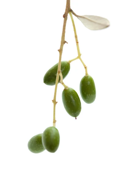 Tvoří olivy — Stock fotografie