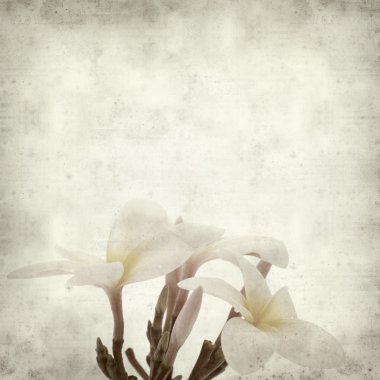 eski kağıt arka plan ile dokulu 