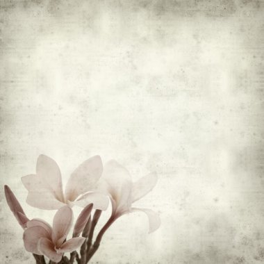 eski kağıt arka plan ile dokulu 