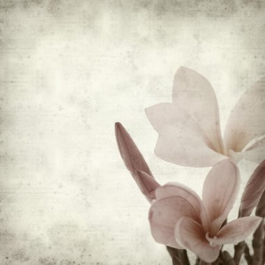 eski kağıt arka plan ile dokulu 