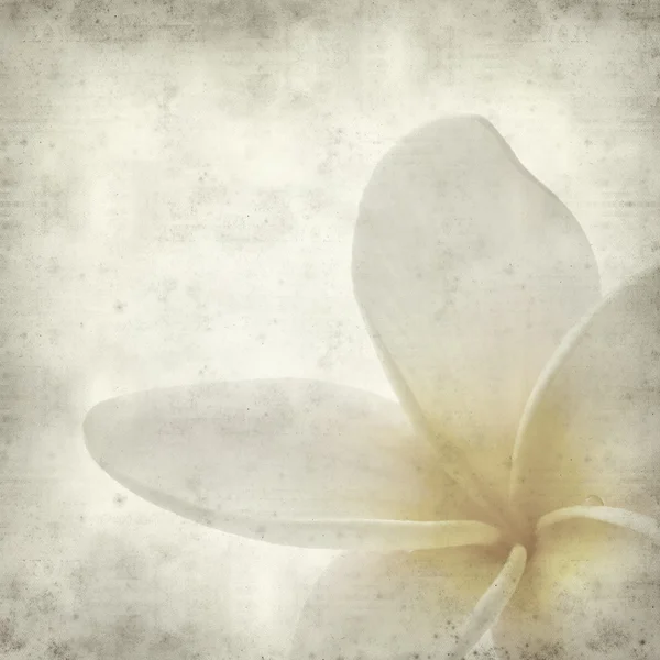 Frangipani — Stock Photo, Image