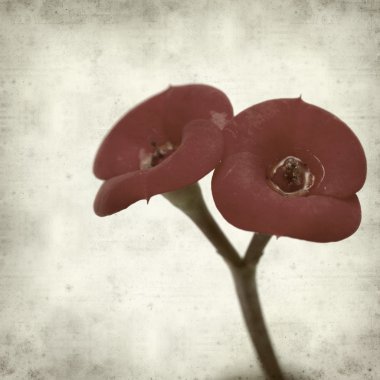 desenli eski kağıt arkaplan  