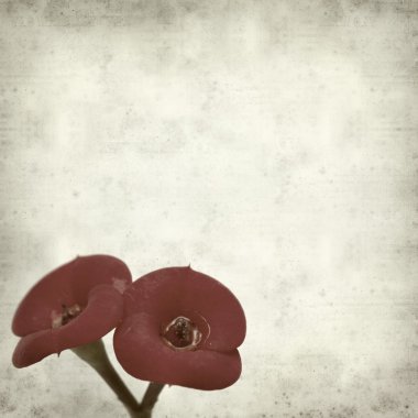 desenli eski kağıt arkaplan  