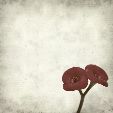 desenli eski kağıt arkaplan  