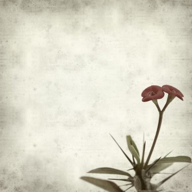 desenli eski kağıt arkaplan  