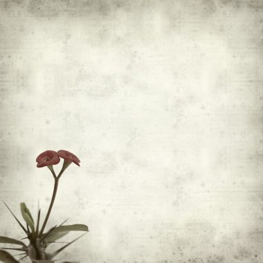 desenli eski kağıt arkaplan  