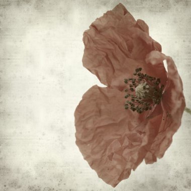 desenli eski kağıt arkaplan 