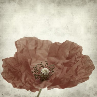 desenli eski kağıt arkaplan 