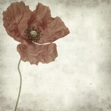 desenli eski kağıt arkaplan 