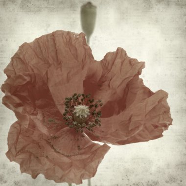 desenli eski kağıt arkaplan 