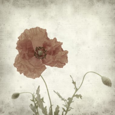 desenli eski kağıt arkaplan 