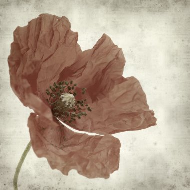 desenli eski kağıt arkaplan 