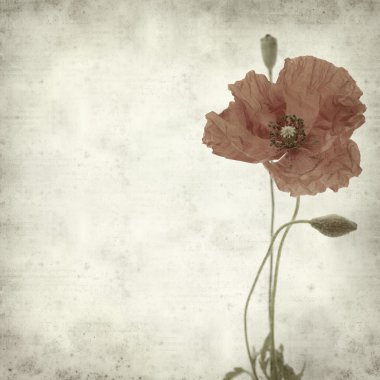 desenli eski kağıt arkaplan 