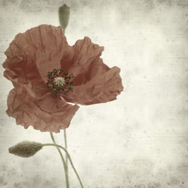 desenli eski kağıt arkaplan 