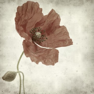 desenli eski kağıt arkaplan 