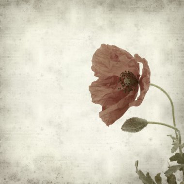 desenli eski kağıt arkaplan 