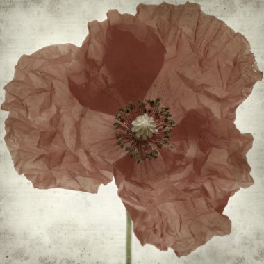 desenli eski kağıt arkaplan 