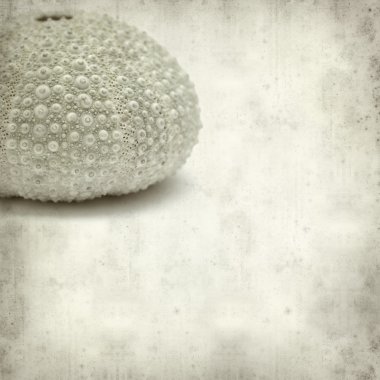 desenli eski kağıt arkaplan  