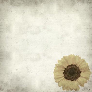 desenli eski kağıt arkaplan  