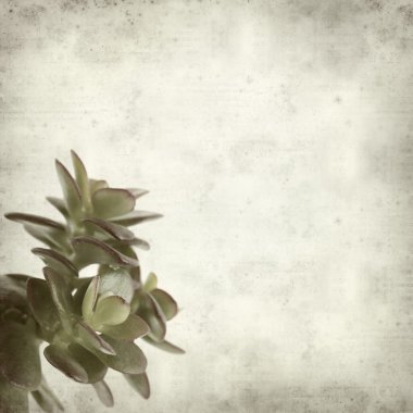 desenli eski kağıt arkaplan