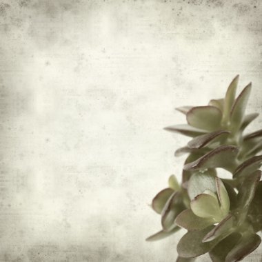 desenli eski kağıt arkaplan