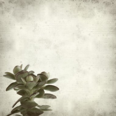 desenli eski kağıt arkaplan