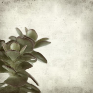 desenli eski kağıt arkaplan