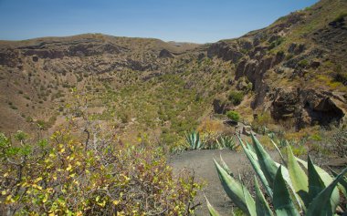desenli eski kağıt arkaplan