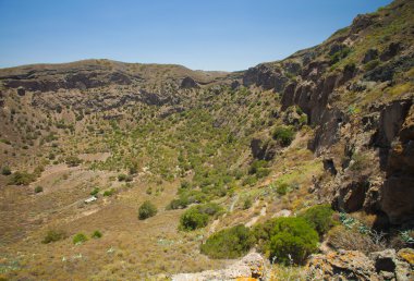 desenli eski kağıt arkaplan