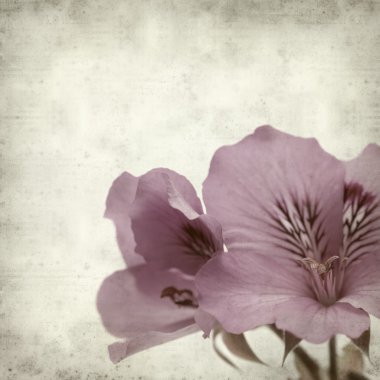 desenli eski kağıt arkaplan