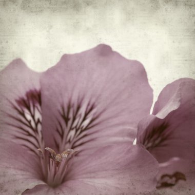 desenli eski kağıt arkaplan