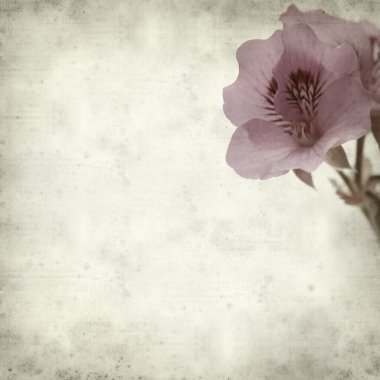 desenli eski kağıt arkaplan